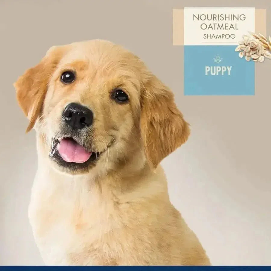 Four Paws Magic Coat Professional Series Nourishing Oatmeal Puppy Shampoo 16 oz - Talis Us