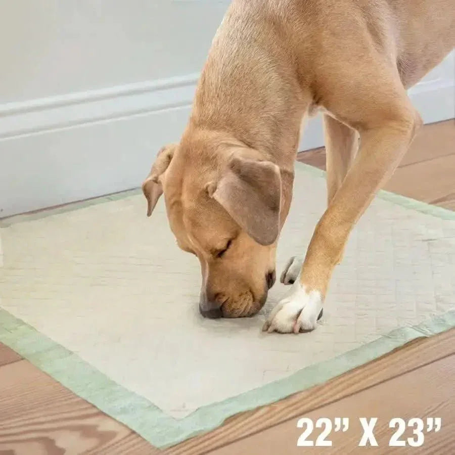Four Paws Wee - Wee Superior Performance Eco Bamboo Dog Pee Pads - Talis Us