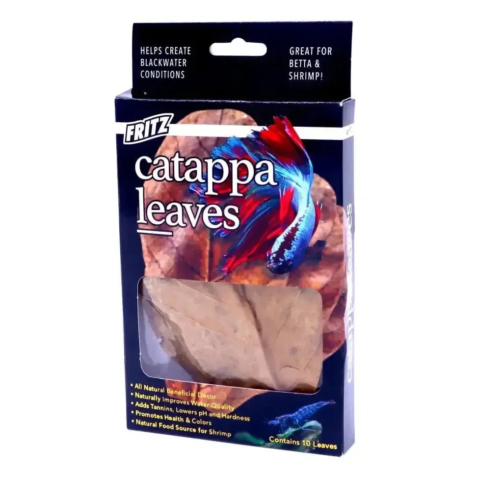 Fritz Cattapa Leaves Botanicals - Talis Us