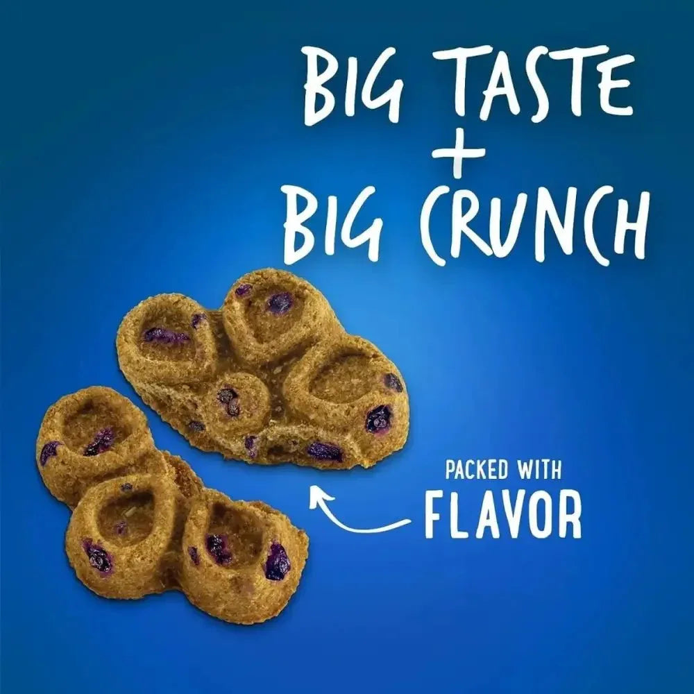 Fruitables Biggies Biscuits Healthy Dog Treats 16 oz - Talis Us