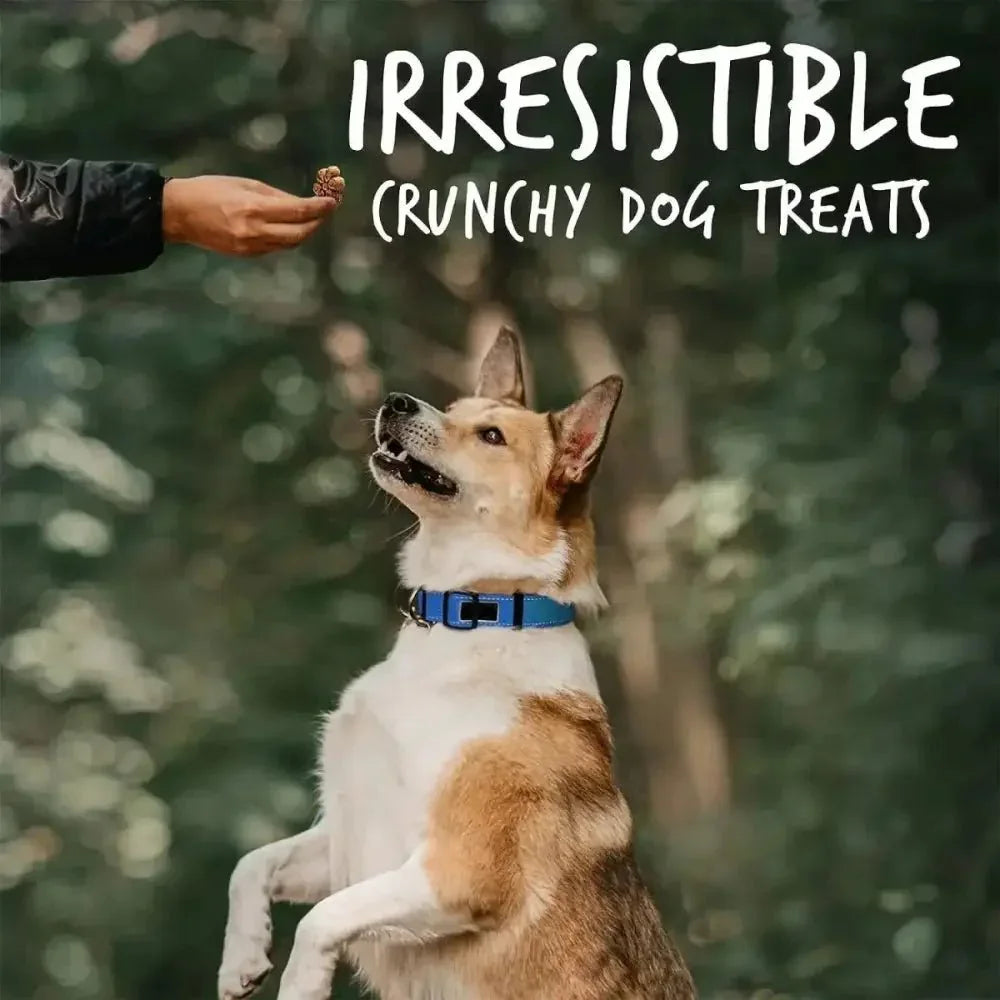 Fruitables Biggies Biscuits Healthy Dog Treats 16 oz - Talis Us