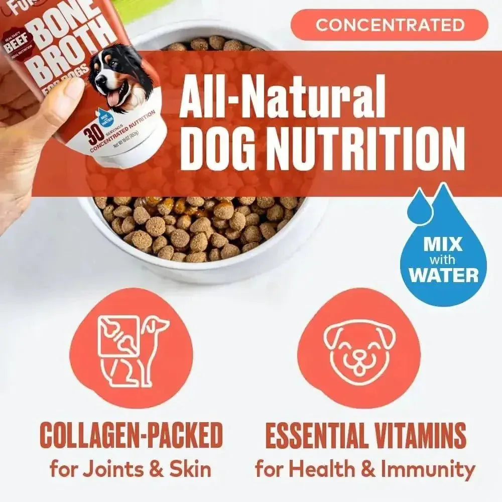 Furvor Beef Bone Broth Healthy Dog Food Topper - Talis Us