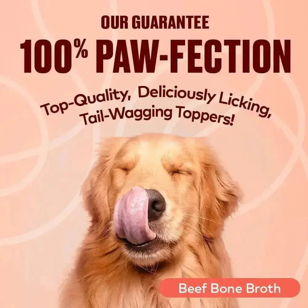 Furvor Beef Bone Broth Healthy Dog Food Topper - Talis Us