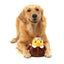 FuzzYard Amelia Quackhart Plush Dog Toy - Talis Us