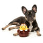 FuzzYard Amelia Quackhart Plush Dog Toy - Talis Us