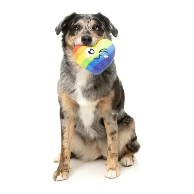 FuzzYard Can't Think Straight Plush Dog Toy - Talis Us