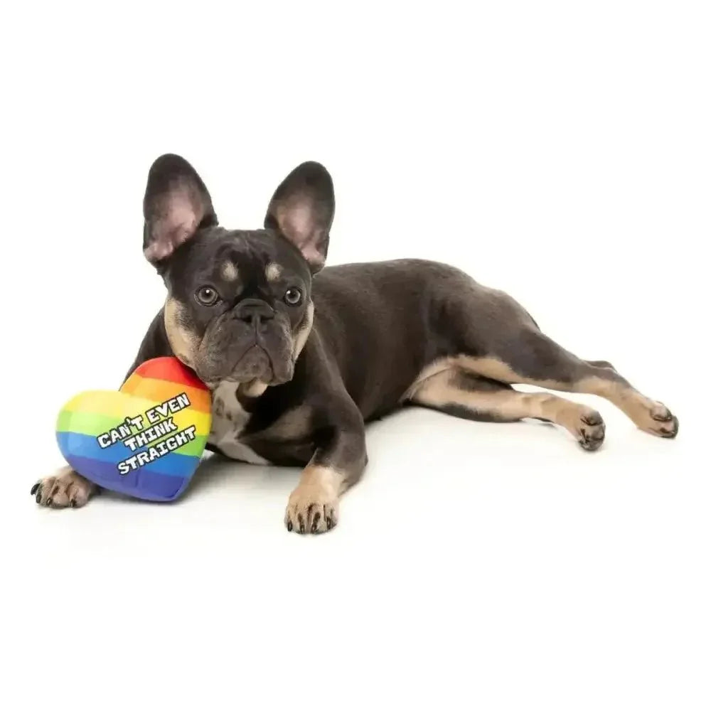 FuzzYard Can't Think Straight Plush Dog Toy - Talis Us