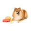 FuzzYard Dog's Breakfast Plush Dog Toy 3pk - Talis Us
