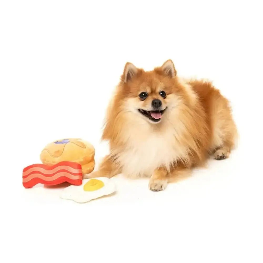 FuzzYard Dog's Breakfast Plush Dog Toy 3pk - Talis Us