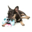 FuzzYard Gamezy Plush Dog Toy - Talis Us