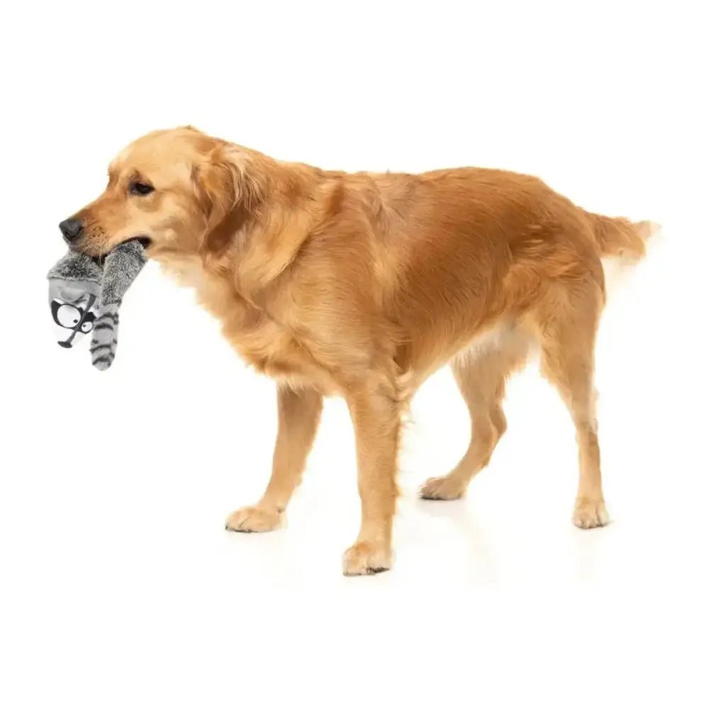 FuzzYard Run Along Raccoon Plush Dog Toy - Talis Us