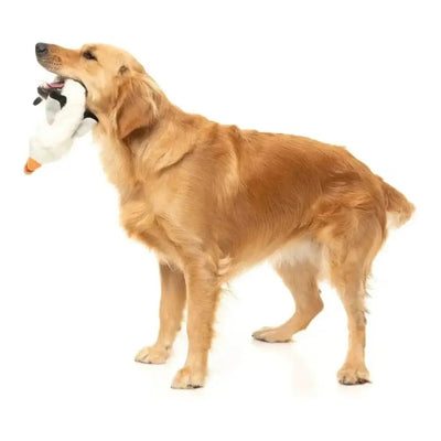 FuzzYard SeeYa Seagull Plush Dog Toy - Talis Us