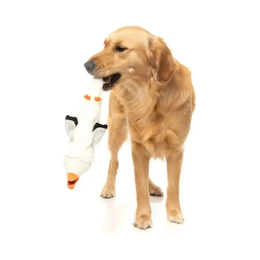 FuzzYard SeeYa Seagull Plush Dog Toy - Talis Us