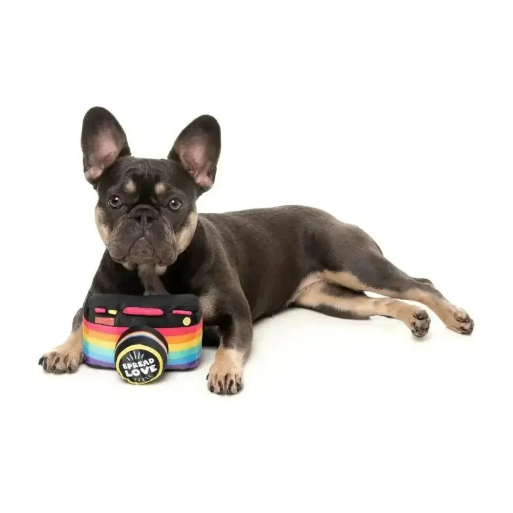 FuzzYard Spread Love Camera Plush Dog Toy - Talis Us