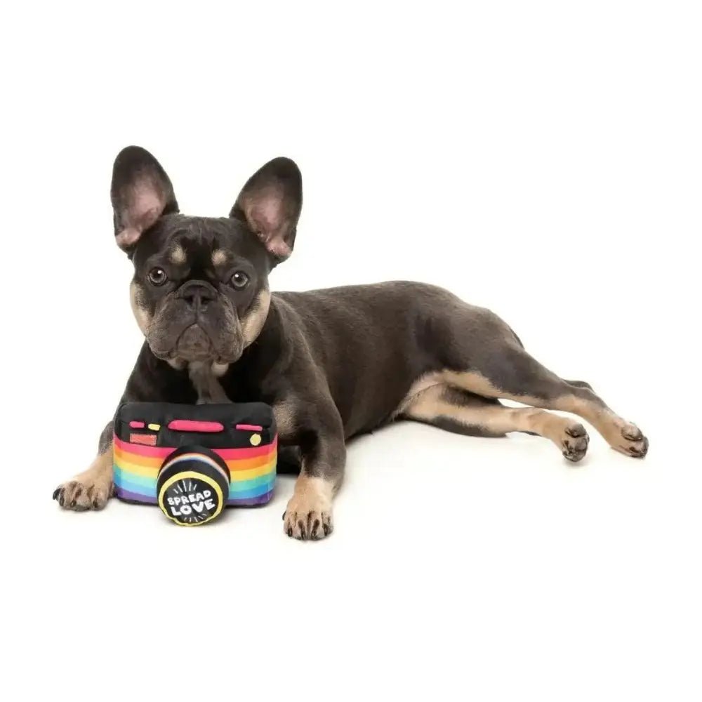 FuzzYard Spread Love Camera Plush Dog Toy - Talis Us
