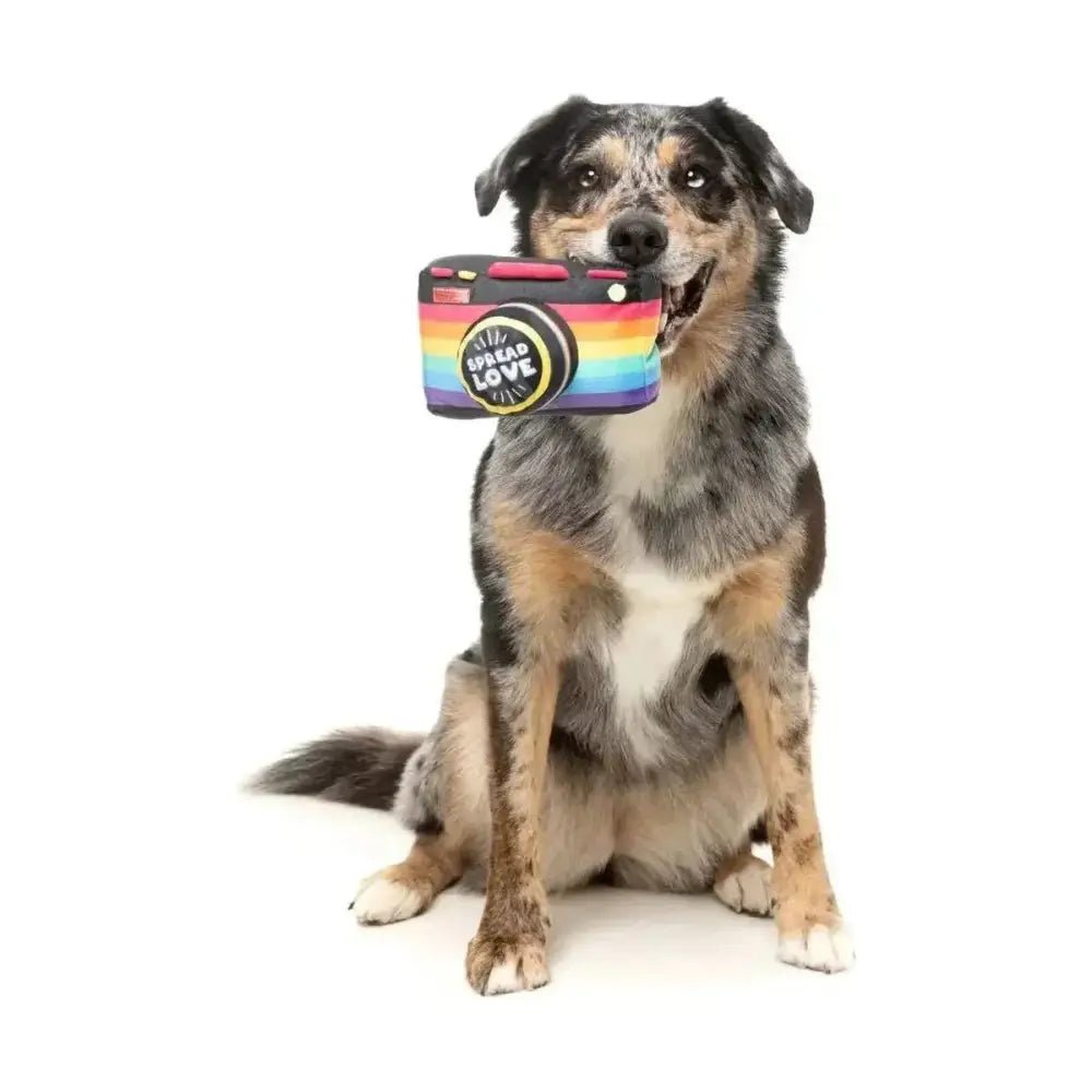 FuzzYard Spread Love Camera Plush Dog Toy - Talis Us