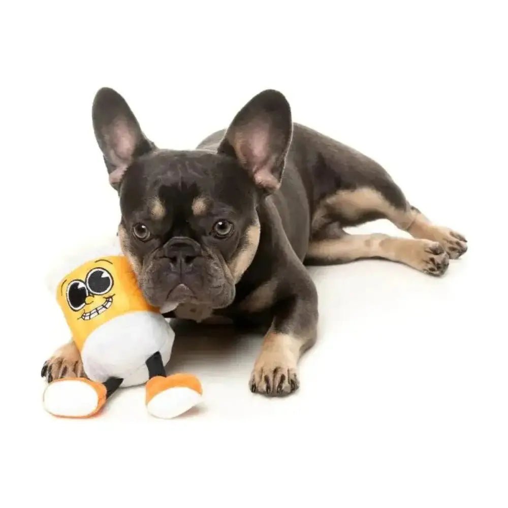 FuzzYard Steinzy Plush Dog Toy - Talis Us