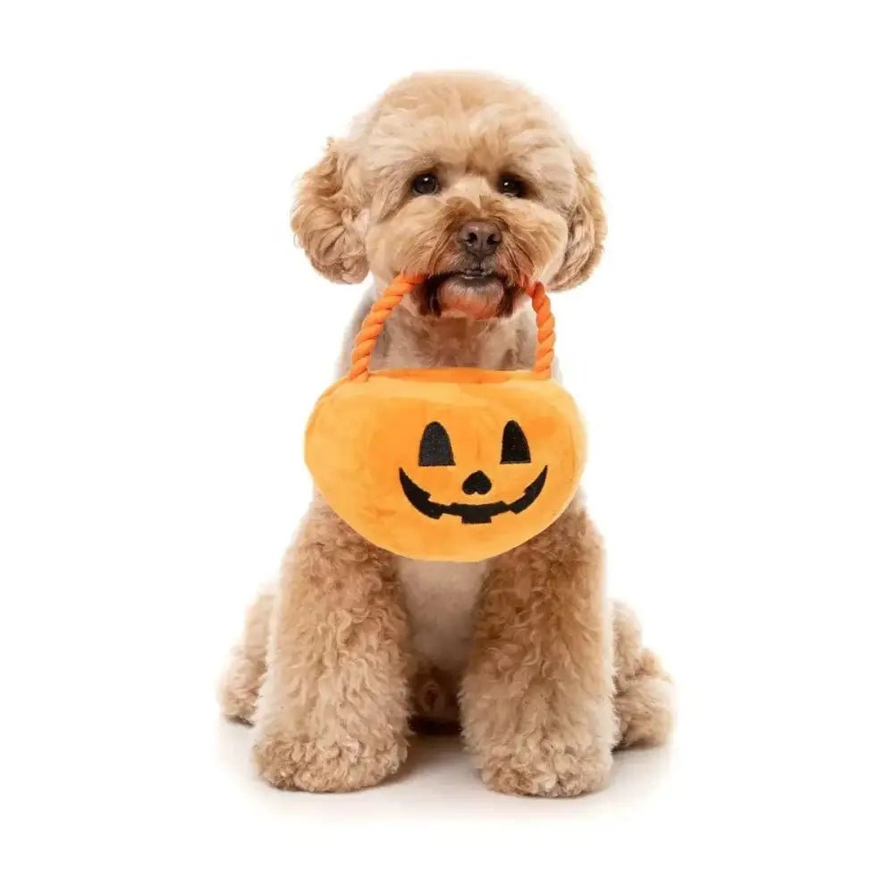 FuzzYard Trick or Treat Pumpkin Basket Plush Dog Toy - Talis Us
