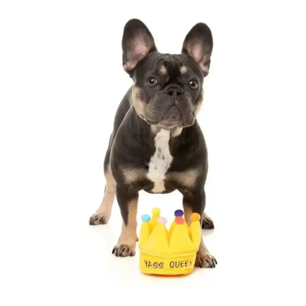FuzzYard Yass Queen Crown Plush Dog Toy - Talis Us