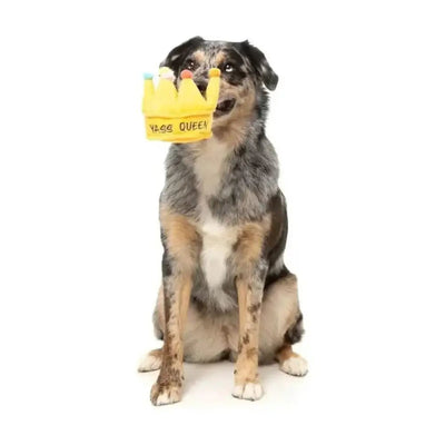 FuzzYard Yass Queen Crown Plush Dog Toy - Talis Us