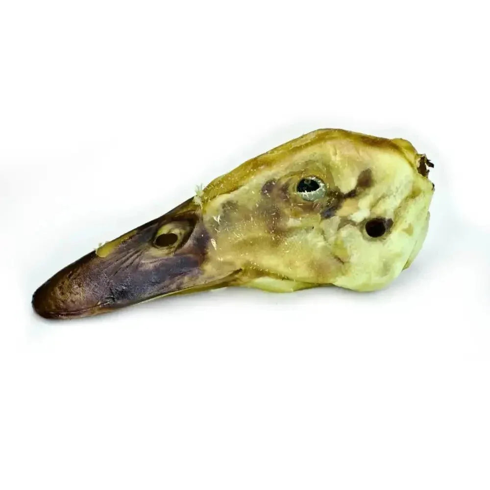 Gaines Family Farmstead Natural Duck Head Chews for Aggressive Chewers - USA Made - Talis Us