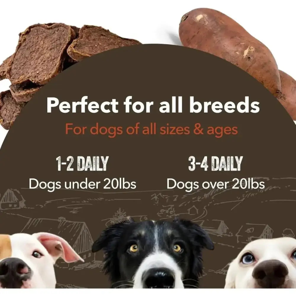 Gaines Family Farmstead Sweet Potato & Beef Fillets Grain - Free Dog Treats 8oz - Talis Us