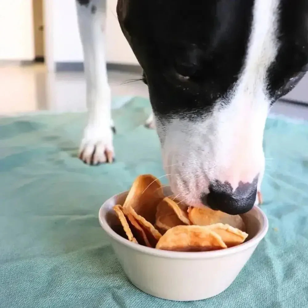 Gaines Family Farmstead Turkey Tendon Chips Soft & Chewy Dog Treats 5oz - Talis Us