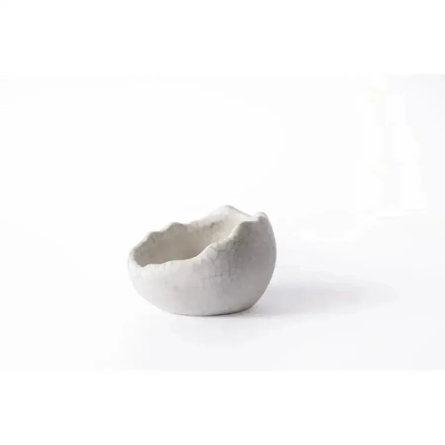Galapagos Ceramic Egg Dish for Terrarium - Talis Us