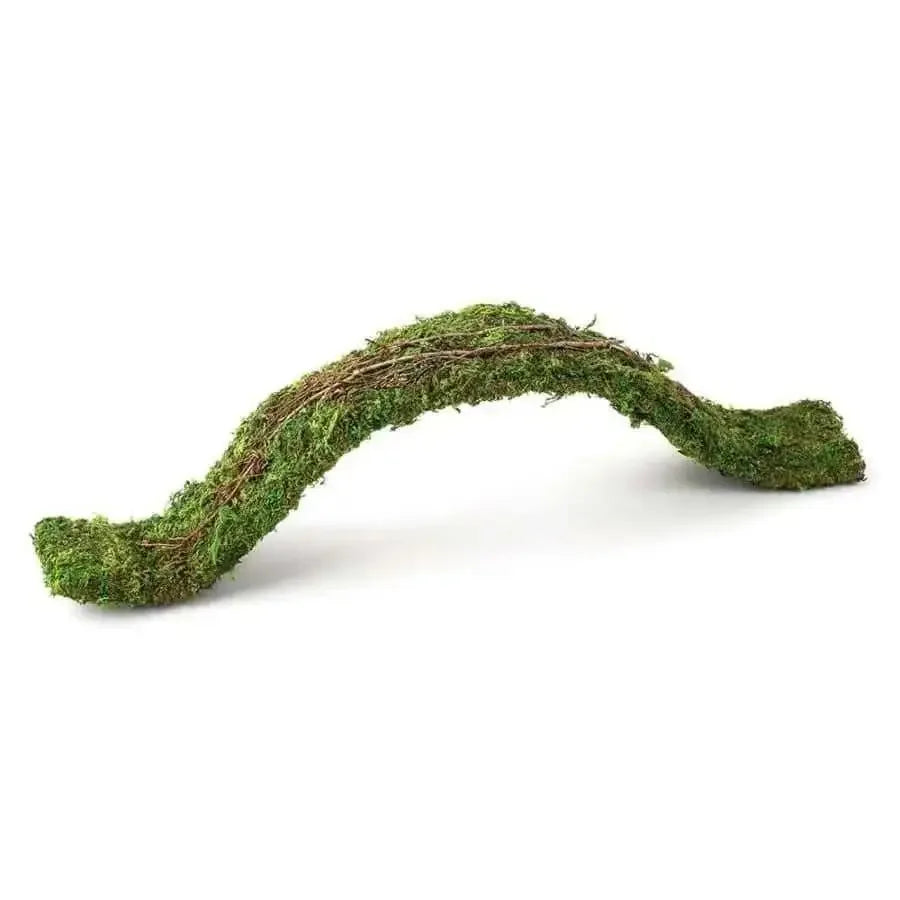 Galapagos Flexible Bridge Terrarium Ornament Flexible Bridge Fresh Green Galapagos CPD