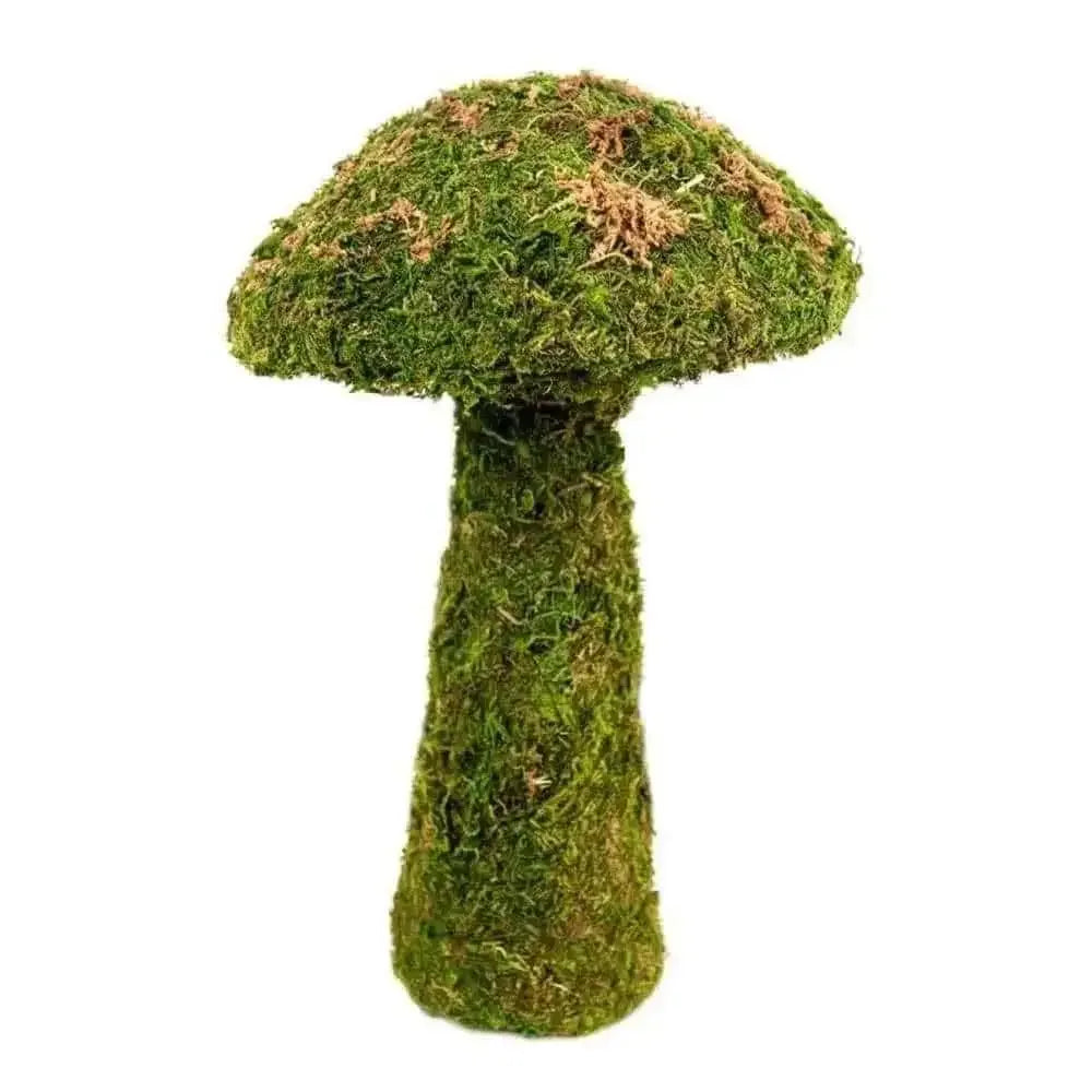 Galapagos Moss Mushroom Decorative Terrarium Ornament Mushroom Fresh Green 11 in, Small Galapagos CPD
