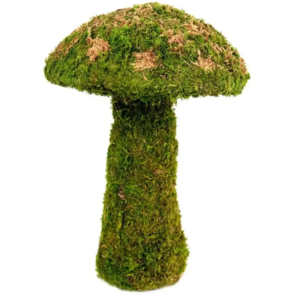 Galapagos Moss Mushroom Decorative Terrarium Ornament Mushroom Fresh Green Galapagos CPD