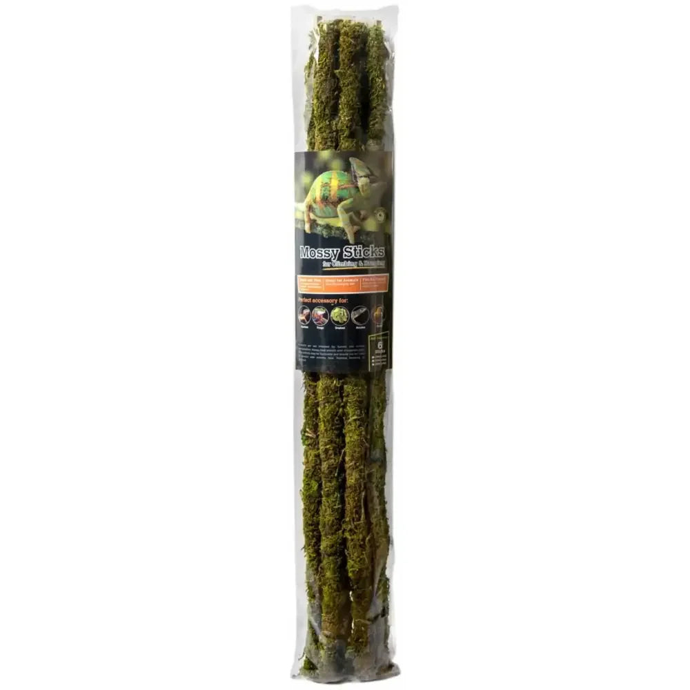 Galapagos Mossy Sticks Terrarium Ornament Mossy Sticks Fresh Green 6 ct Galapagos CPD