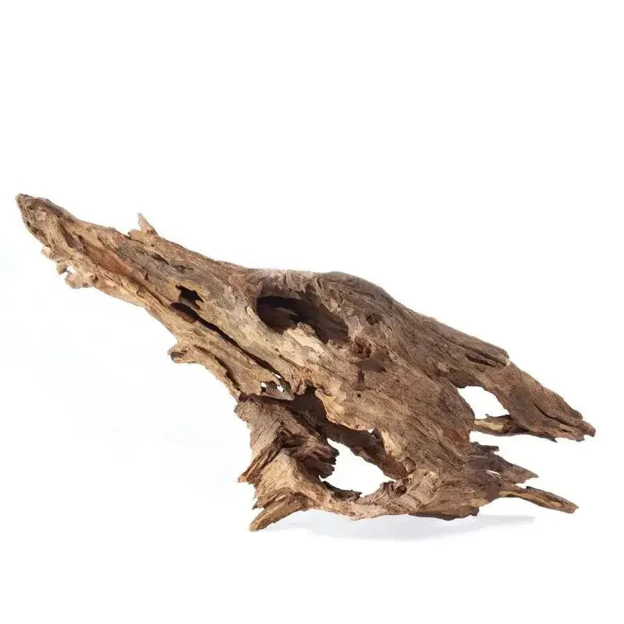 Galapagos Natural Driftwood Hollow Tree Root 12 - 16 in - Talis Us