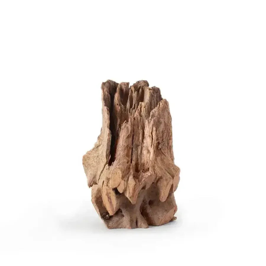 Galapagos Natural Eucalyptus Hollow Log Hide 15 - 20 in - Talis Us