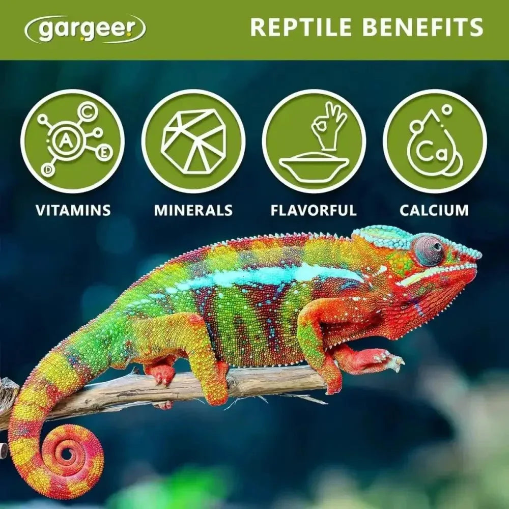 Gargeer All Reptiles Color Enhancer Reptile Food Supplement 2oz - Talis Us