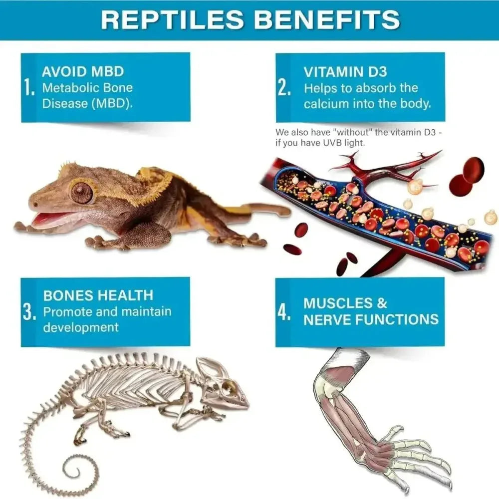 Gargeer Calcium Powder Reptile & Amphibian Supplement 4oz - Talis Us