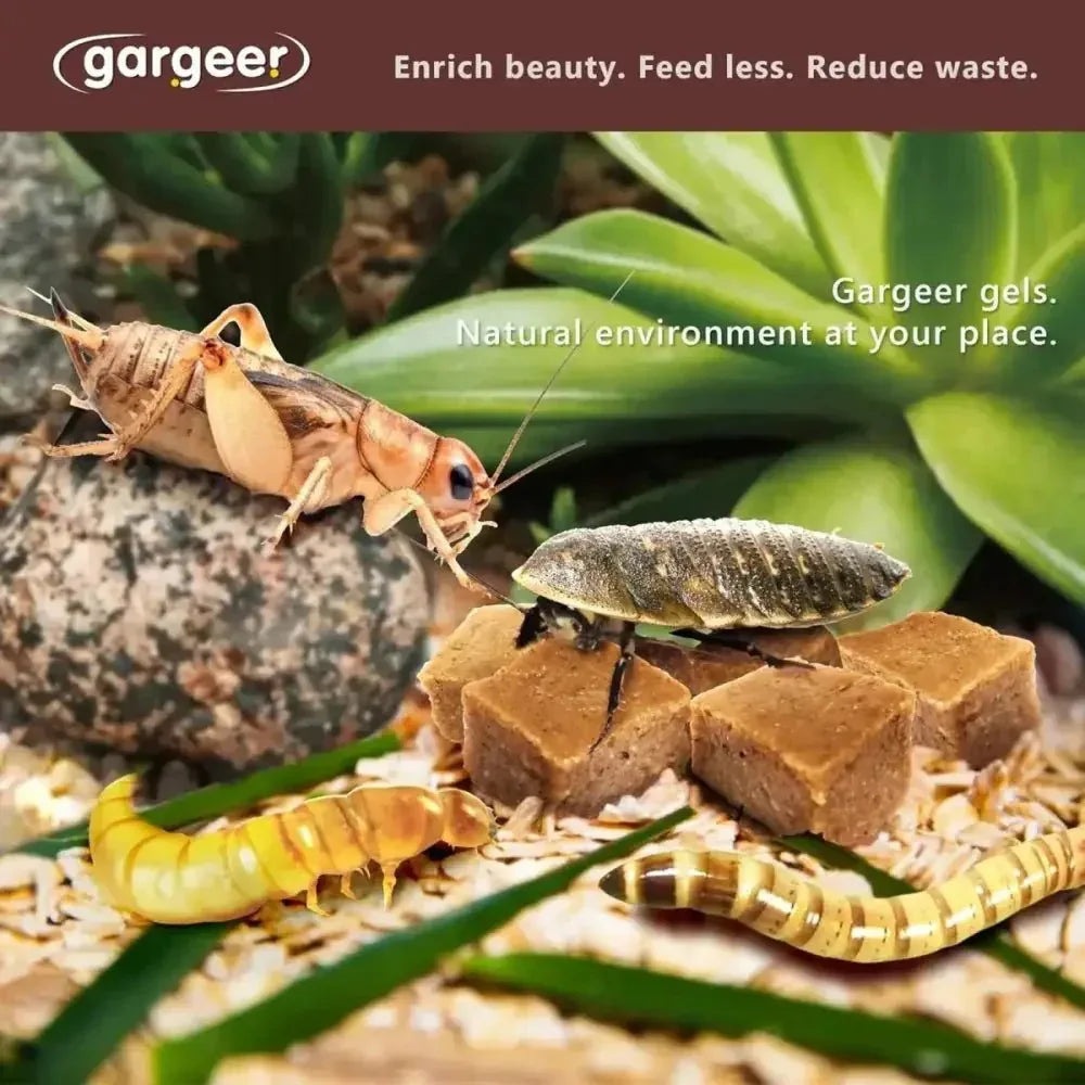 Gargeer Complete Gel Diet for Bugs and Insects for Roaches, Worms, and Crickets - Talis Us