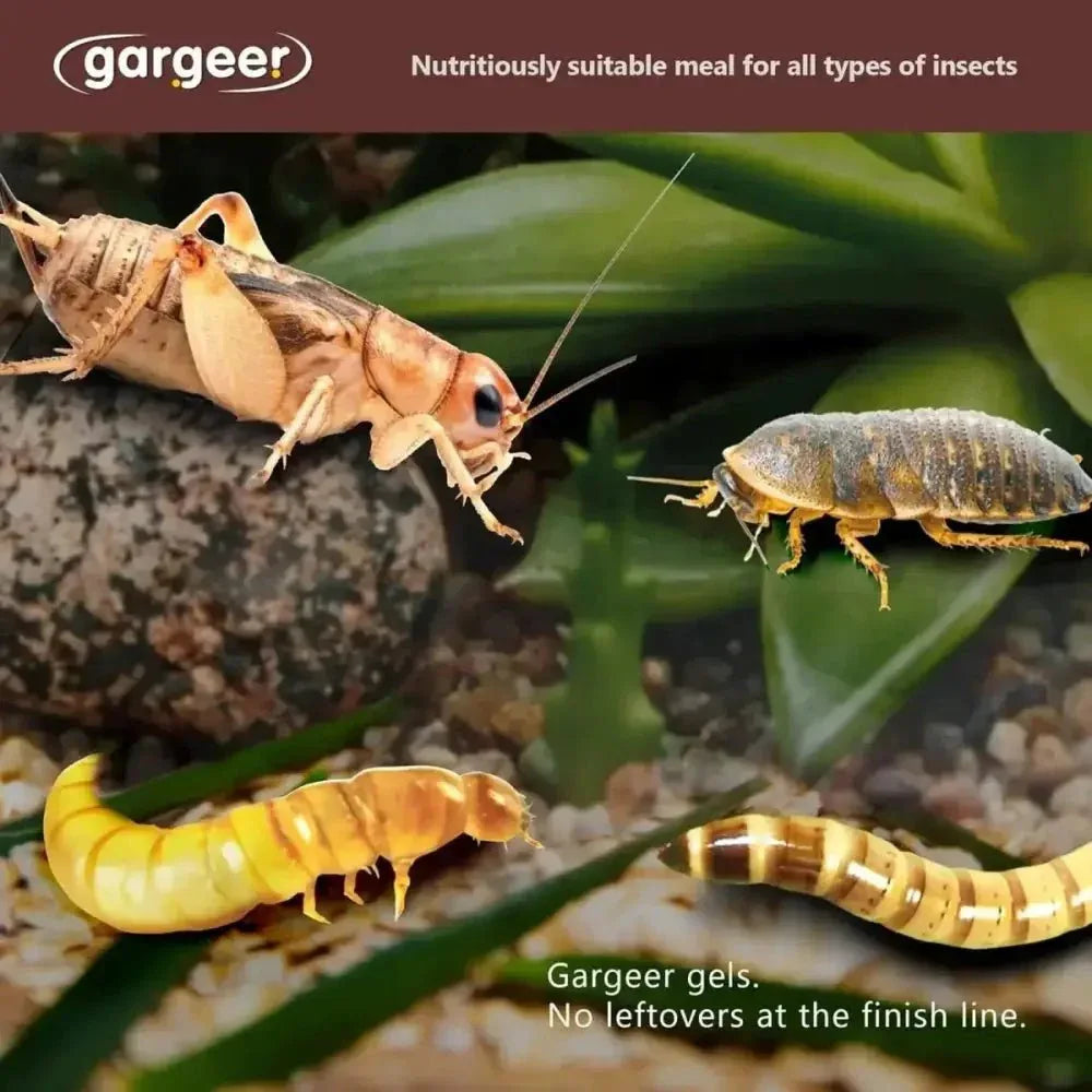 Gargeer Complete Gel Diet for Bugs and Insects for Roaches, Worms, and Crickets - Talis Us