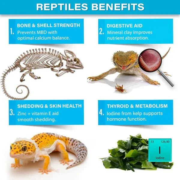 Gargeer Complete Minerals Plus Supplement for Reptiles - Talis Us