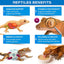 Gargeer crested gecko food showcasing benefits like digestion support and energy for healthy geckos