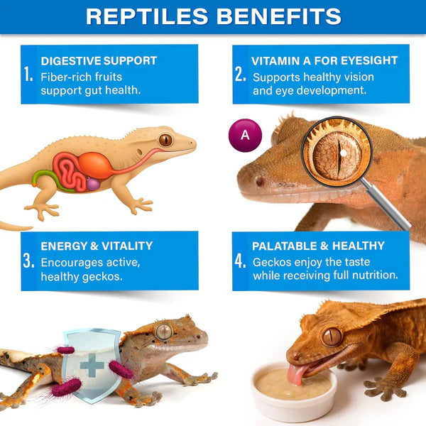 Gargeer crested gecko food showcasing benefits like digestion support and energy for healthy geckos