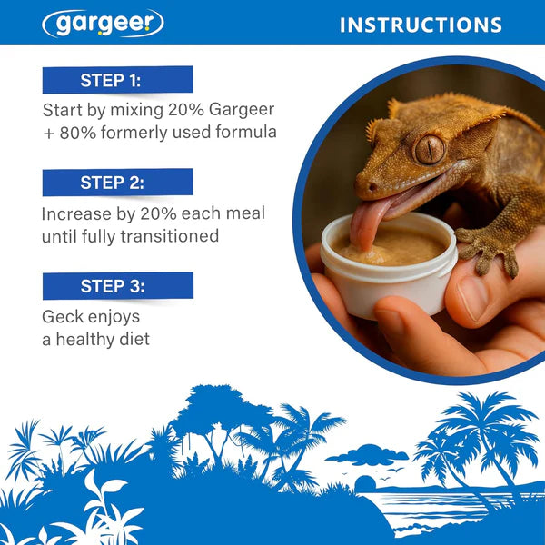 Gargeer crested gecko food instructions with a gecko enjoying a healthy meal