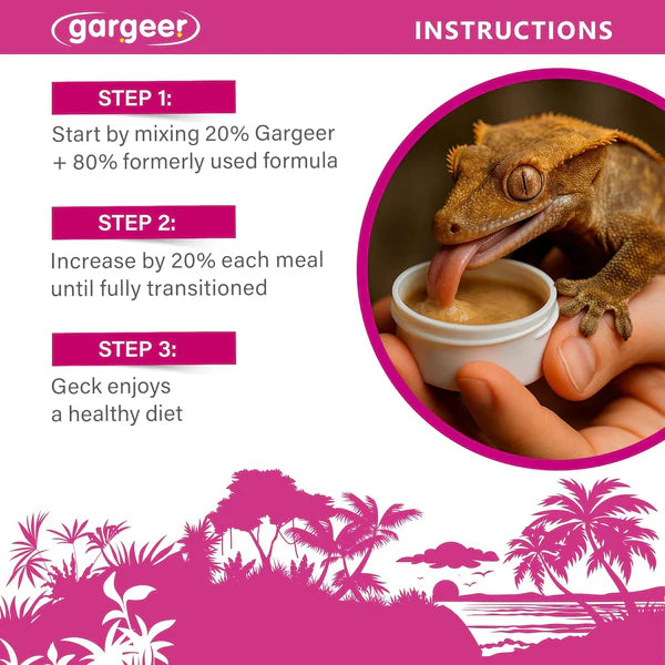 Gargeer crested gecko food instructions for a balanced diet and healthy care