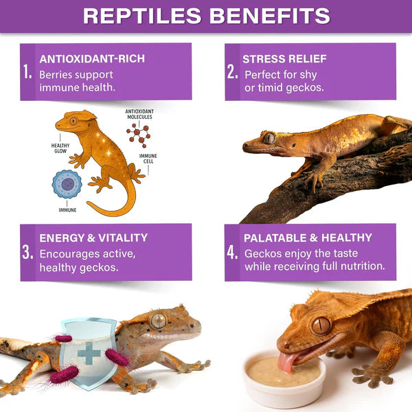 Gargeer crested gecko food with antioxidant-rich ingredients for healthy reptiles