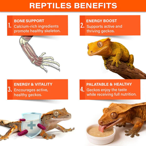 Gargeer crested gecko food packaging showcasing benefits for bone support and energy boost
