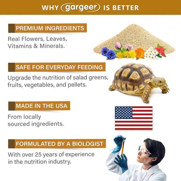Gargeer Desert Grassland Tortoise Salad Topper - Talis Us