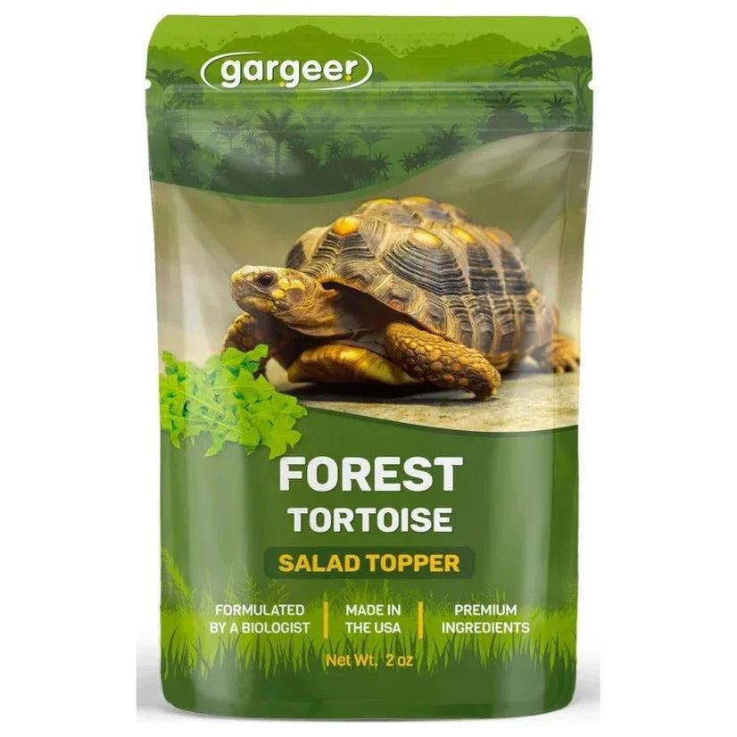 Gargeer Forest Tortoise Salad Topper - Talis Us