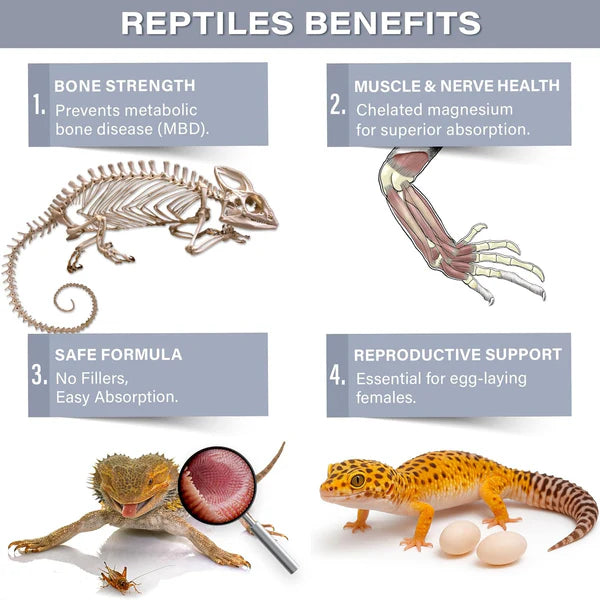 Magnesium and calcium supplement for reptiles highlighting benefits like bone strength and muscle health