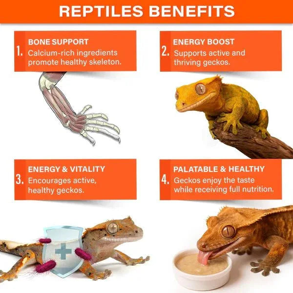 Gargeer Picky Geck Energy Nectar - Premium Crested Gecko Food - Talis Us