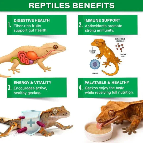 Gargeer Picky Geck Rainforest Mist - Premium Crested Gecko Food - Talis Us